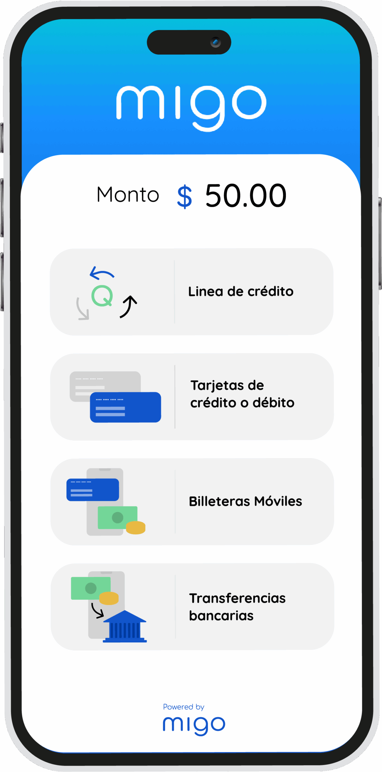 Vista previa del app.